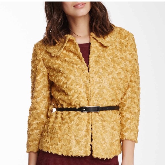 Insight - Picture 1 of 5